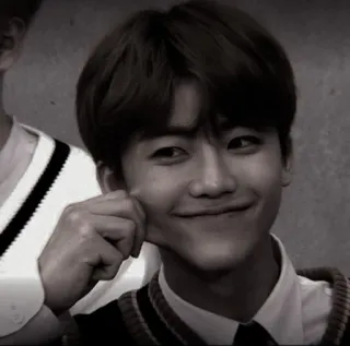 🤡 d49b6fd3 telegram sticker