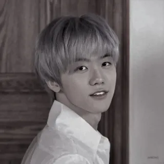 🤡 d6441cf6 人物, ポートレート, 白黒, モノクロ, 若い男性, K-POP telegram sticker