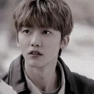 🤡 fb1c6827 telegram sticker