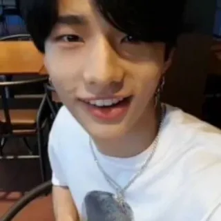 🍕 66526798 telegram sticker