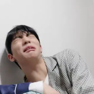 🍕 8ffc1ed7 telegram sticker