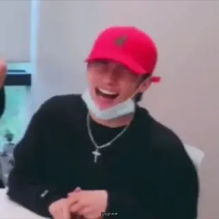 🍕 e0d69338 DDAH telegram sticker