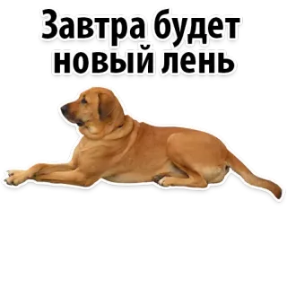 😁 80fdeaa0 Завтра будет новый день Hund, Tier, Morgen, Optimismus, Motivation, Russisch telegram sticker