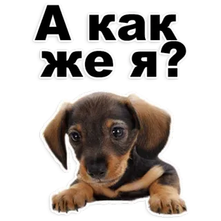 Puppies @stickersb2b telegram stickers