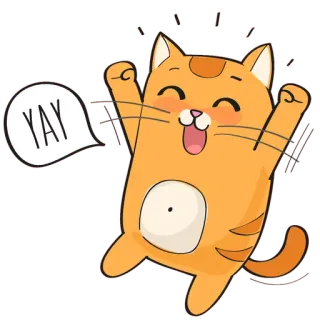 🐱 59cde46b YAY 猫, 喜悦, 庆祝, 兴奋, 橘猫 whatsapp sticker