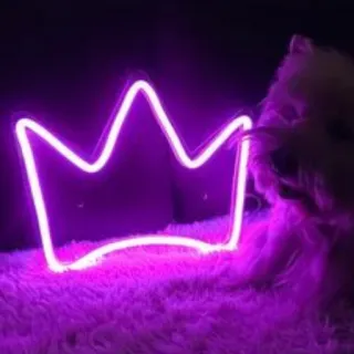 💜 88c537a3 coroa, neon, roxo, cachorro, fofo, fofo, animal de estimação, animal telegram sticker