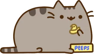 🐥 a8862122 Pusheen PEEPS แมว, พุชชีน, พีพส์, การ์ตูน whatsapp sticker