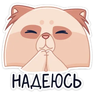 ☺️ 2252fee6 НАДЕЮСЬ cat, cute, kawaii, pleading, begging, hope, russian telegram sticker