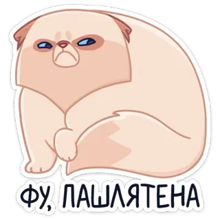 🤢 226d1999 ФУ, ЛАШЛЯТЕНА cat, angry, meme, funny, sticker telegram sticker