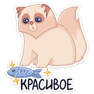 🤩 3b753b5c КРАСИВОЕ cat, fish, cute, animal, pretty, beautiful, sticker telegram sticker
