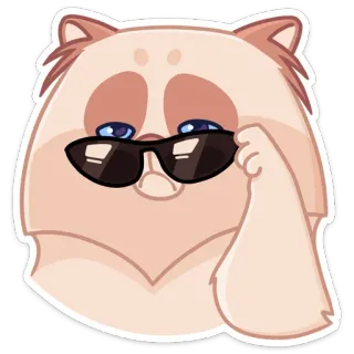 😎 8ea7979e cat, sunglasses, cool, meme, animal, pet, cute telegram sticker