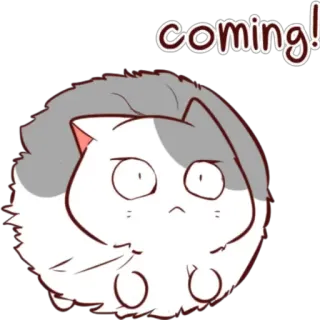 Pus Kamvret telegram stickers