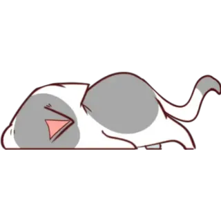 😪 75ec919f 猫, 睡觉, 可爱, 卡通, 动物 telegram sticker