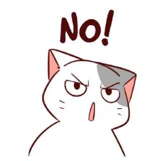 😑 70443301 NO! chat, non, colère, dessin animé, refus, désaccord, négatif whatsapp sticker