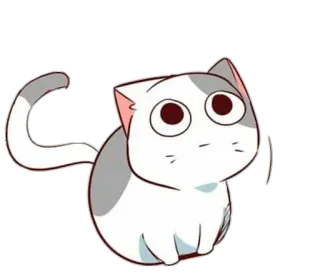 🙄 a2beb909 chat, chaton, mignon, animal, animal de compagnie, chat domestique, dessin animé whatsapp sticker