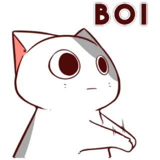 😮‍💨 ca375dfd BOI chat, garçon, mème, drôle, mignon, animal whatsapp sticker