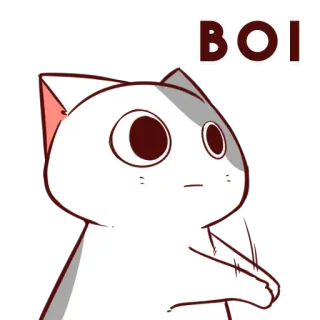 😶‍🌫️ 5c821f46 BOI 猫, 男孩, 表情包, 搞笑, 网络用语 telegram sticker