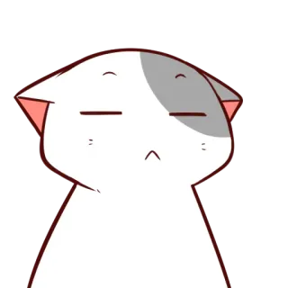 🤨 e32086ba 猫, 动物, 贴纸, 白色, 可爱, 卡通, 困 telegram sticker