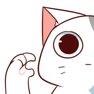 🤏 b2bd181f 고양이, 동물, 귀여운, 손 제스처, OK 사인 telegram sticker