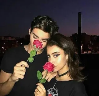 🌹 d216a96c casal, rosas, amor, romance, escuro, noite, jovens adultos telegram sticker