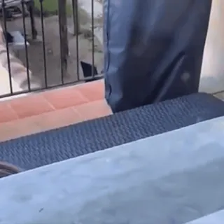 👀 85d5db2c whatsapp sticker