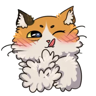 😍 a9ab822a แมว, สัตว์, สติกเกอร์, น่ารัก, ปุย, ลูกแมว, อิโมจิ telegram sticker