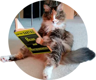 Pussycat telegram stickers