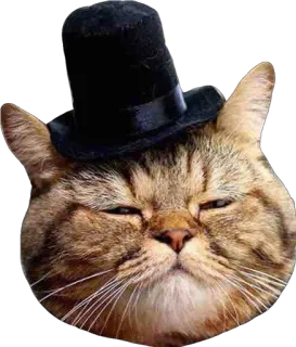 пусич telegram stickers