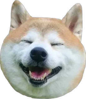 😊 277ce388 perro, shiba inu, animal, meme, lindo, mascota telegram sticker
