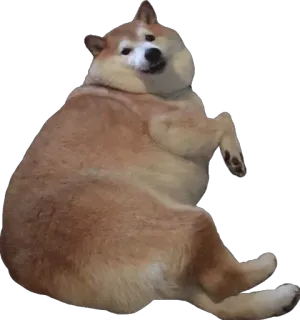 💩 60e6c377 perro, shiba inu, gracioso, lindo, meme, animal telegram sticker