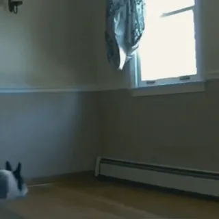 🤩 038aeae0 telegram sticker