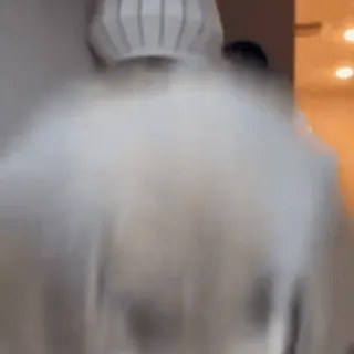 🤩 0f31d876 telegram sticker