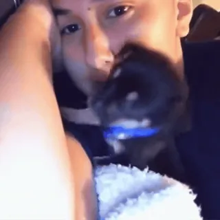 🤩 1bc6d6a9 dog, puppy, pet, animal, cute, chihuahua, man telegram sticker