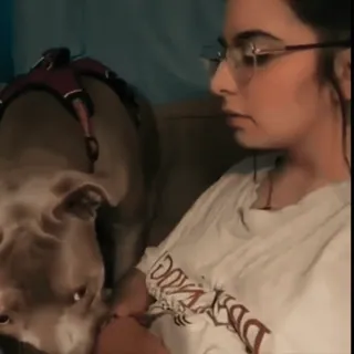 🤩 23ebc30b telegram sticker