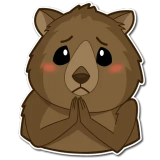 🙏 312d29c7 Bär, niedlich, flehend, Tier, Cartoon, Emoji, Kawaii, Braunbär, traurig telegram sticker