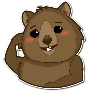 😏 628fcc71 Quokka, Tier, süß, fröhlich, Cartoon, Beuteltier telegram sticker