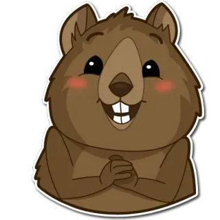 😁 f9732ff7 Quokka, Tier, süß, fröhlich, Nagetier, Australien, Beuteltier telegram sticker