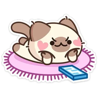 🐱 a23120c8 cat, cute, animal, kitten, pink, rug, angry telegram sticker