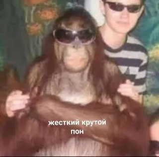 пон от @gifbyfleksid :: @fStikBot telegram stickers