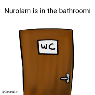 🚽 30b29459 Nurolam is in the bathroom! bagno, porta, WC, toilette telegram sticker