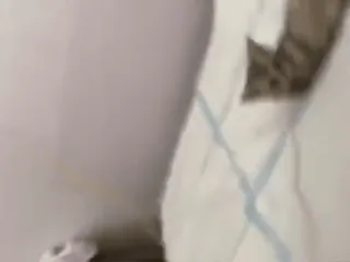 😏 6763bb52 telegram sticker