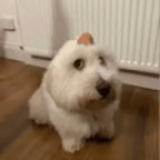 Больше стиков тут: @stikery4 telegram stickers