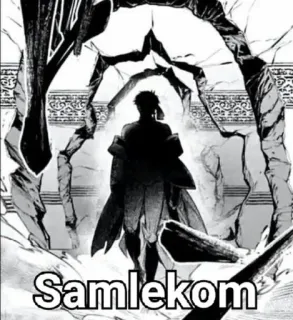 😎 47463666 Samlekom whatsapp sticker