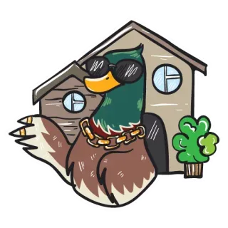 😕 bc3d2795 오리, 선글라스, 집, 만화, 동물, 새, 금목걸이 telegram sticker