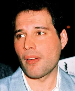 😕 eb6b656b Freddie Mercury sänger, königin, freddie, musik, rock telegram sticker