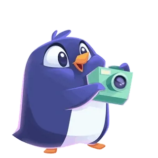 📽 c10efe65 penguin, camera, photography, cartoon, animal, cute whatsapp sticker