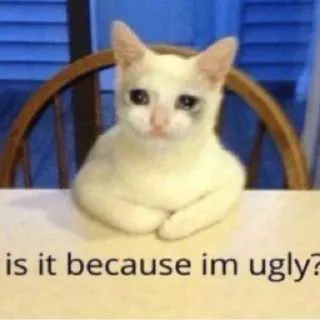 🥺 2a133bea is it because im ugly? mèo, buồn, xấu xí, meme, thú cưng, động vật telegram sticker