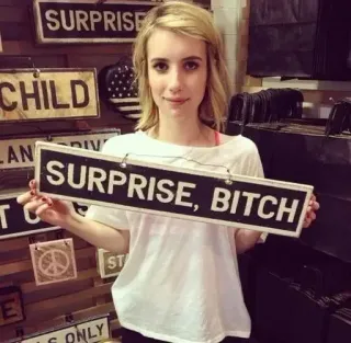 😉 11f0de1d SURPRISE, BITCH humor, menyinggung, kejutan, slang telegram sticker