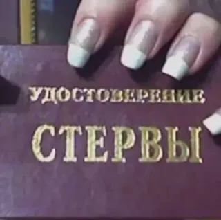 Больше стиков тут: @stikery4 telegram stickers