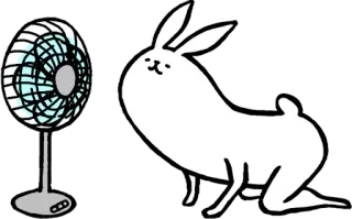 💨 6285ce83 кролик, вентилятор, милый, животное, охлаждение, лето whatsapp sticker